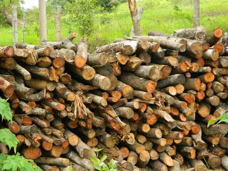 Hoe brandhout snel te drogen? In 4 geweldige stappen