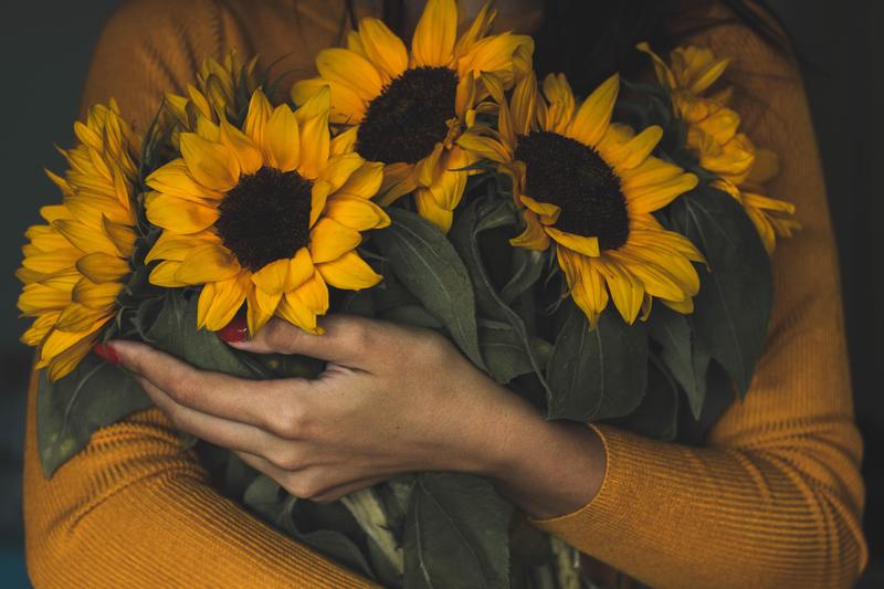 Hoe zorg je voor gesneden zonnebloemen: 10 eenvoudig te volgen stappen