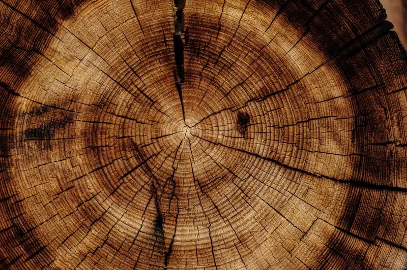 6 doe-het-zelf-stappen om waterbeschadigd hout gemakkelijk thuis te repareren