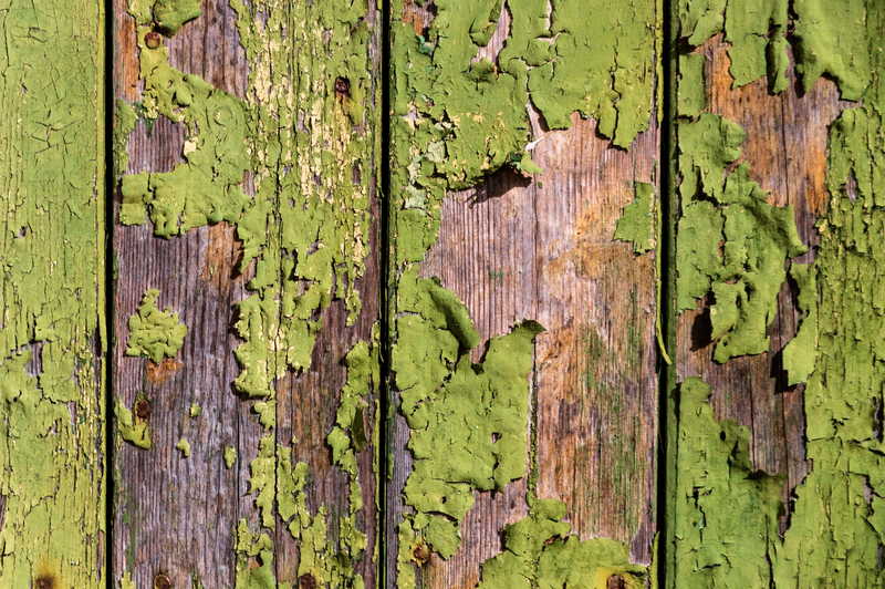 5 manieren om groene schimmel gemakkelijk van een houten terras te verwijderen