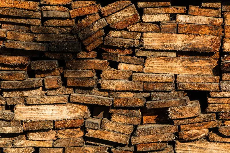Hoe schimmel uit ruw gesneden hout te verwijderen: 5 eenvoudige doe-het-zelfstappen
