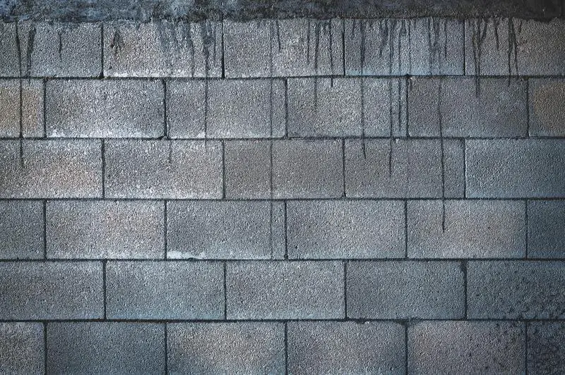 Hoe zich te ontdoen van schimmel op betonnen blokmuren: 5 eenvoudige stappen