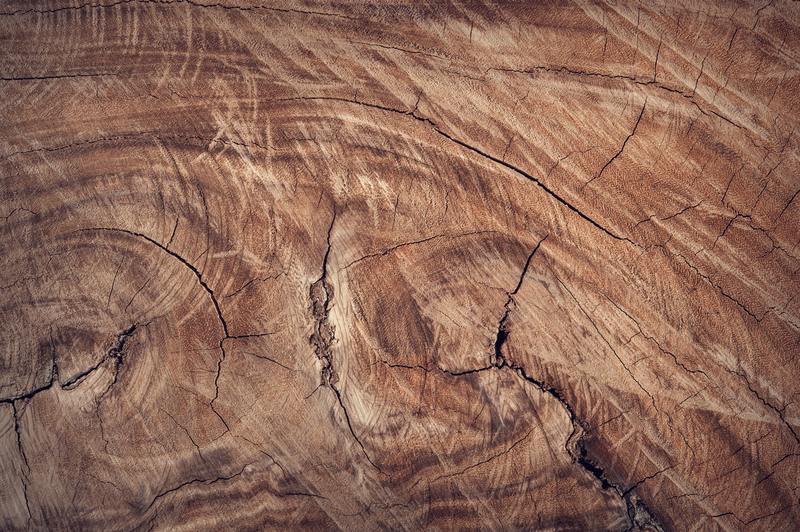 Eenvoudige 4-stappen doe-het-zelfgids over hoe u meeldauw van hout kunt krijgen