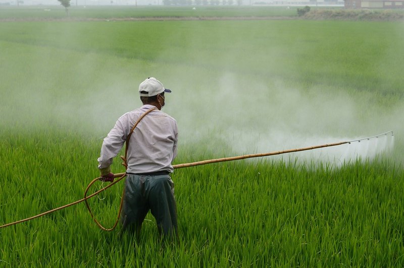 Hoe vergiftiging door pesticiden te herkennen: 4 handige tips
