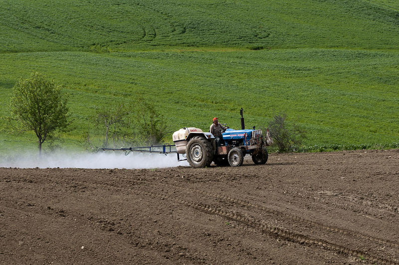 Hoe verontreiniging met pesticiden door ongediertebestrijding te voorkomen: 5 manieren