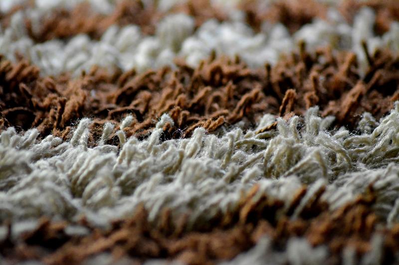 Meeldauwvlekken uit tapijt verwijderen: 3 effectieve manieren