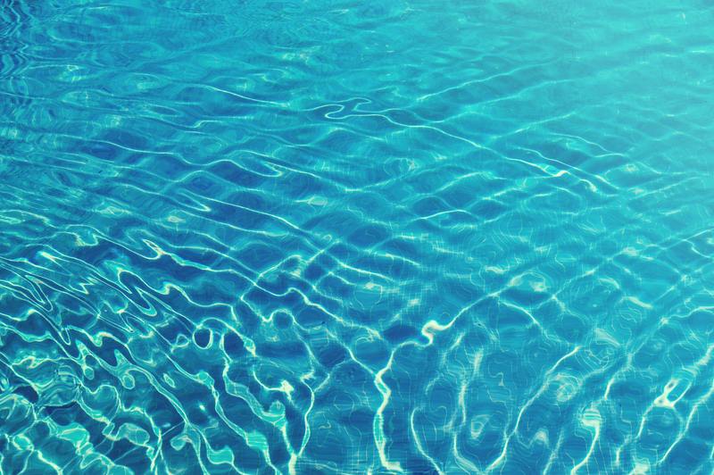 Pool Care 101: hoe u gemakkelijk van waterschimmel in het zwembad afkomt?