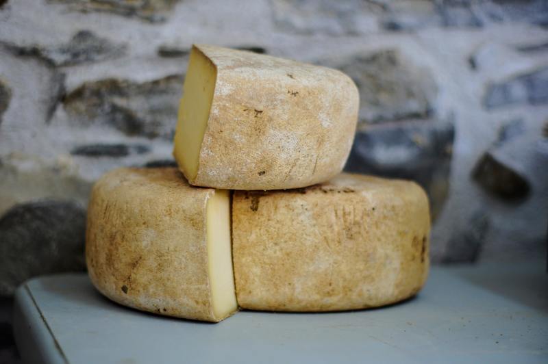 Waarom schimmelt kaas? 8 beste tips om uw zuivel te beschermen