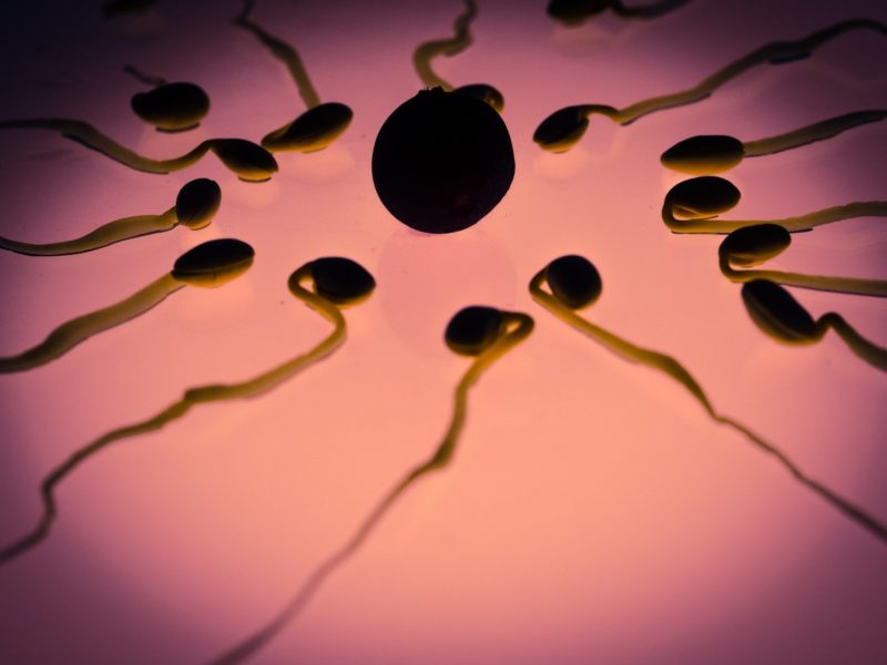 Wat betekent NI bij spermadonatie? 2 nadelen die u in gedachten moet houden!