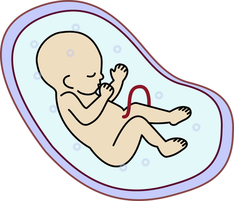 Wat is embryodonatie? Geweldige feiten om te weten!