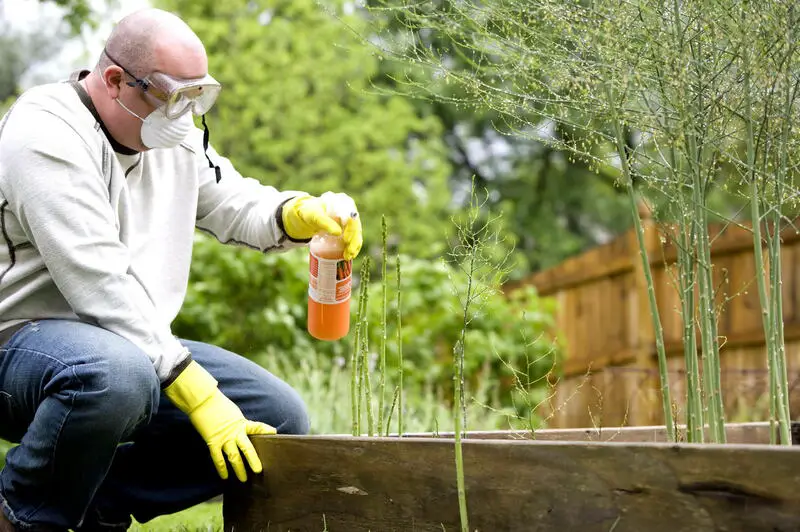 Wat zijn de risico's van het gebruik van pesticiden? 7 belangrijke tips